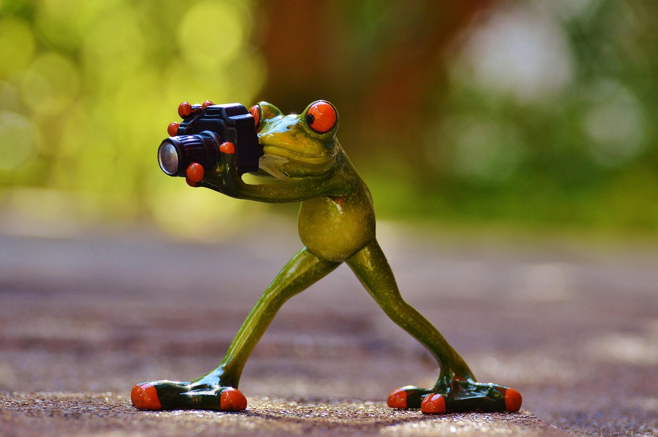 Ethical Wildlife Photography: Putting the Subject First