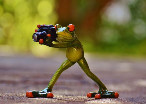 images