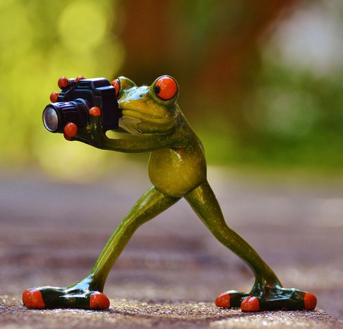 images